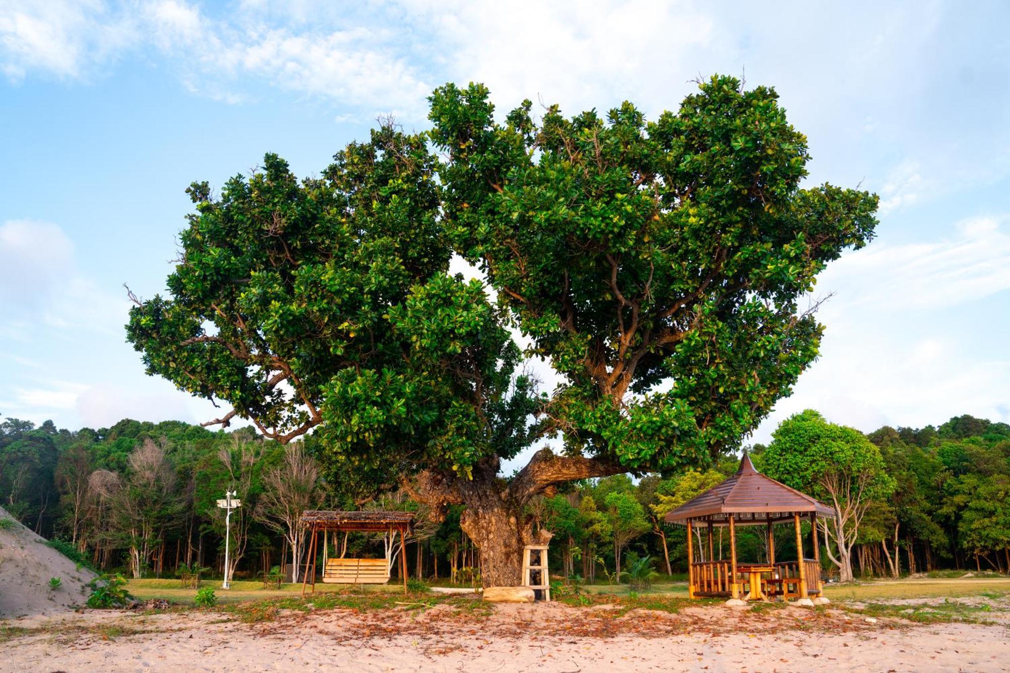 Kepri Coral Resort Galang Island Eksteriør bilde